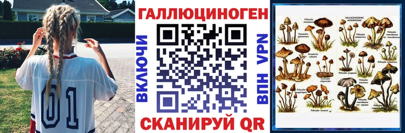 цены наркотик  Дзержинск  Псилоцибиновые грибы Psilocybe 